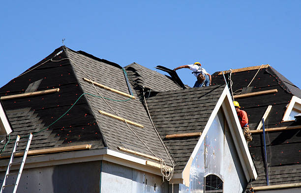 Trusted roofing company offering full roof replacement and inspection services