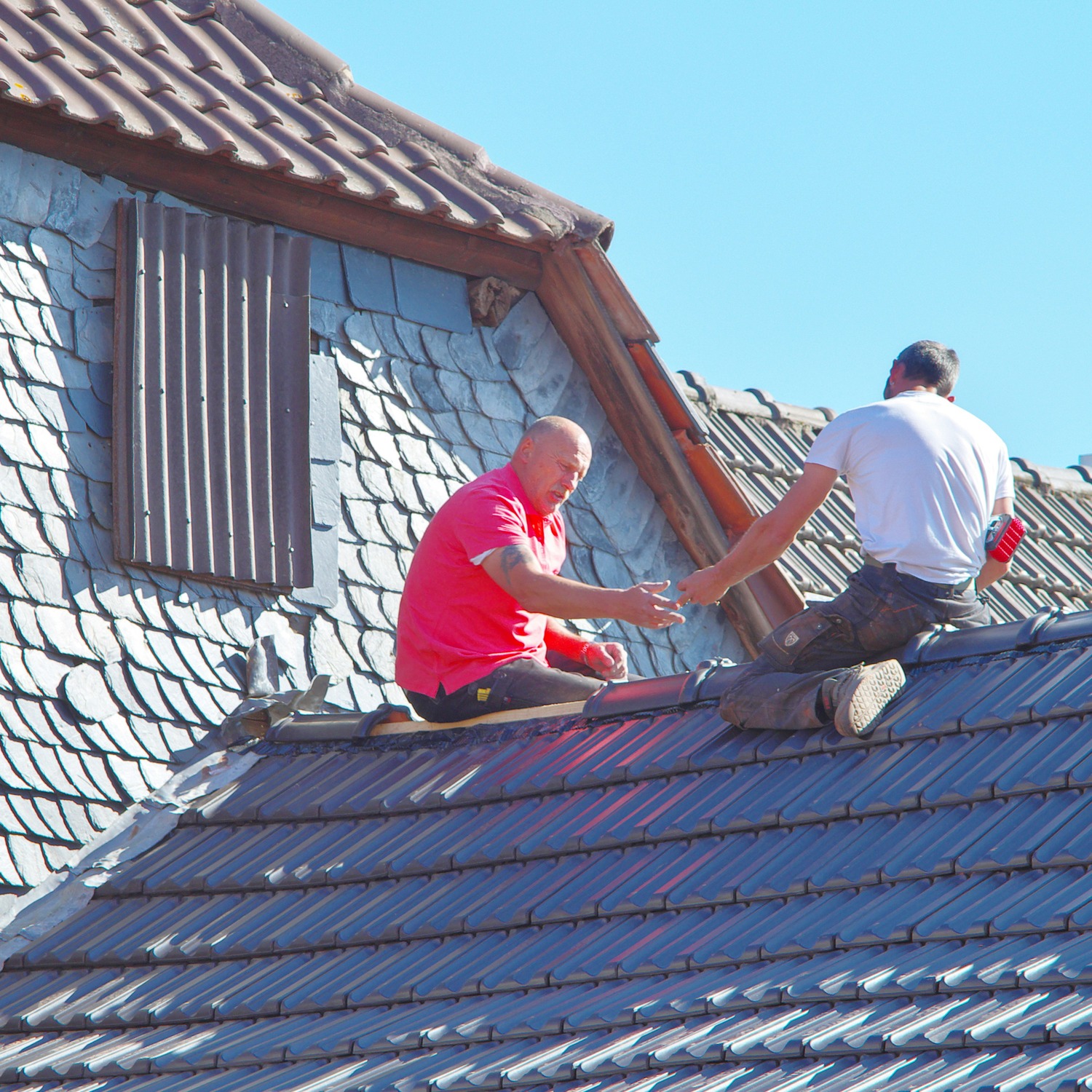 Professional Roofing Contractor in Windsor, CO