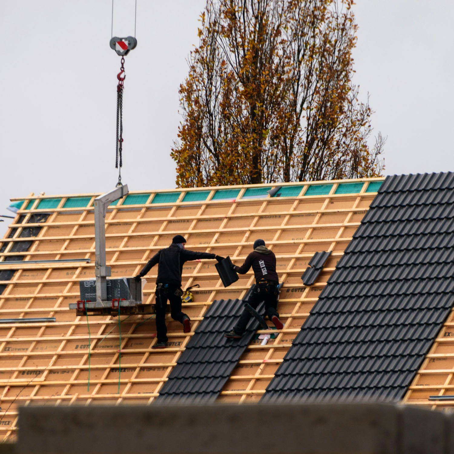 Professional Roof Repair in Lakewood
