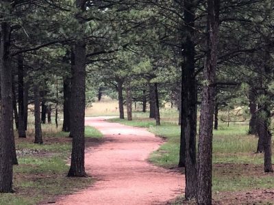 Black Forest, CO