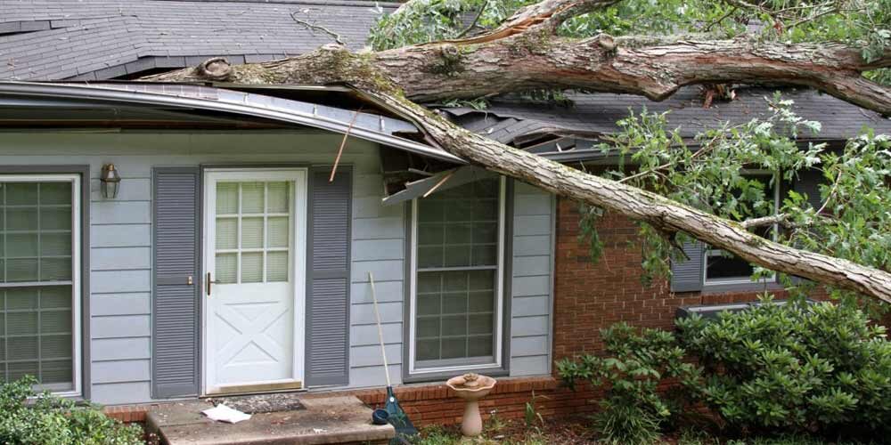 Littleton and Parker Storm Damage Repair Expert